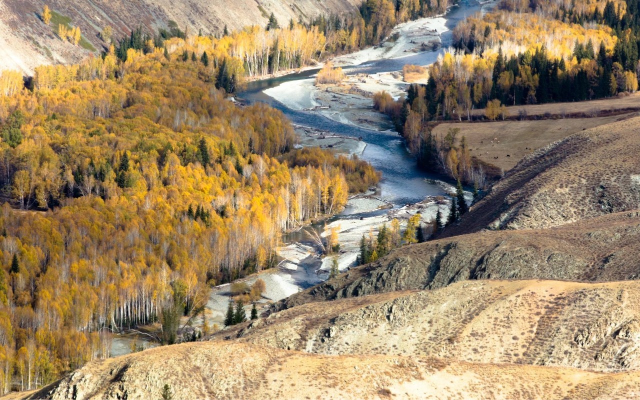 新疆,多元文化交融下的民族和谐典范之地