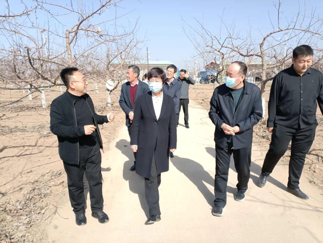 临汾,历史与现代交融的城市风采